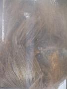wig_317