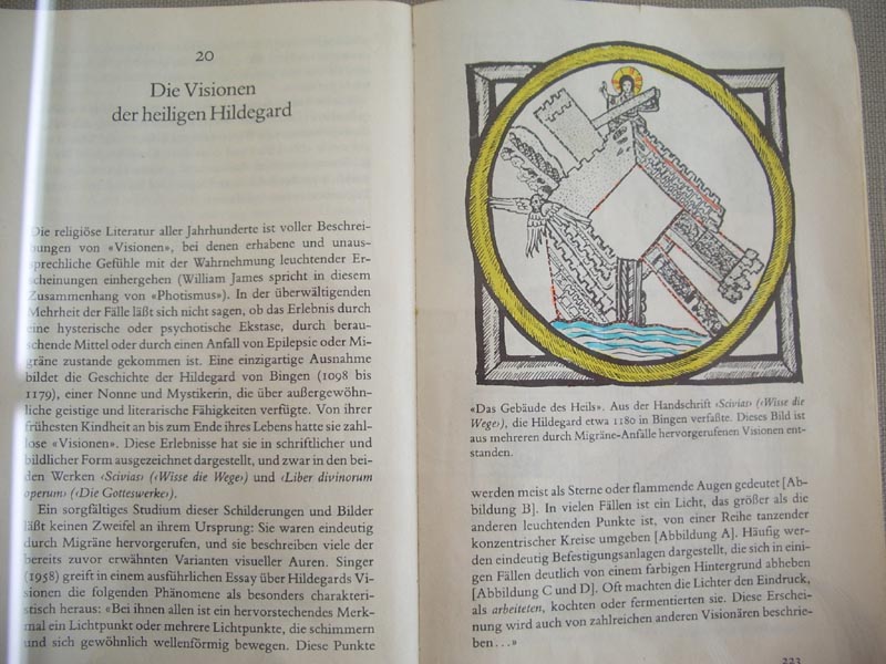 IMGP1420