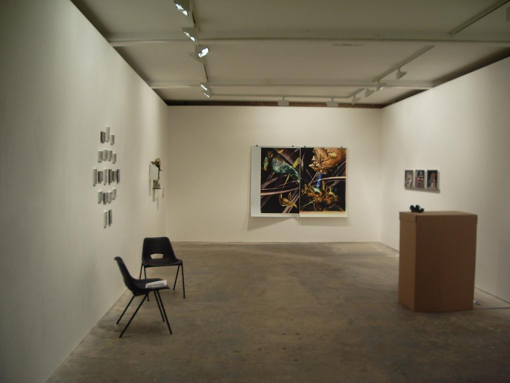 IMGP9720