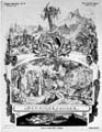 weise_gustav_deutsche bilderbogen fuer jung und alt_der wilde jaeger_1867-1868
